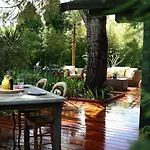 Apartment Mas Des Fleurs - Olive House *