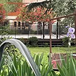Mas Des Fleurs - Olive House
