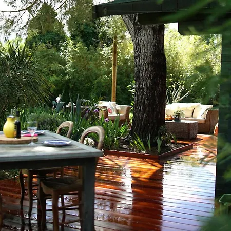 Apartment Mas Des Fleurs - Olive House *