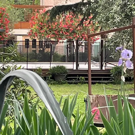 Mas Des Fleurs - Olive House