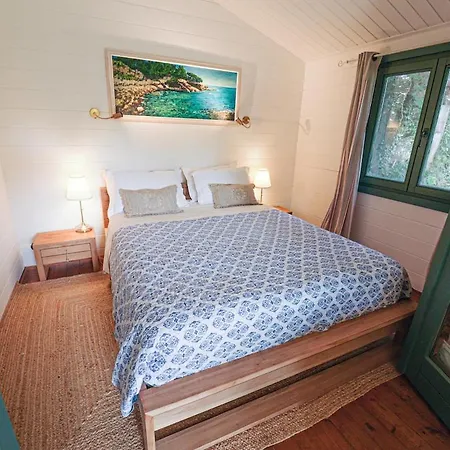 Apartment Mas Des Fleurs - Olive House