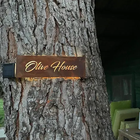 Mas Des Fleurs - Olive House Apartament *
