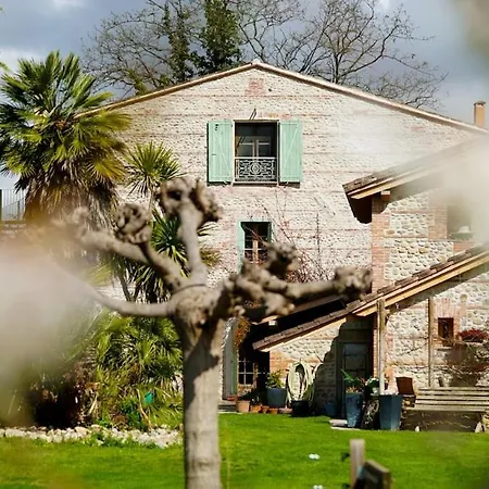 Mas Des Fleurs - Olive House * 페르피냥