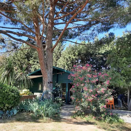 Mas Des Fleurs - Olive House Apartament *