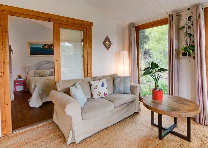 Mas Des Fleurs - Olive House