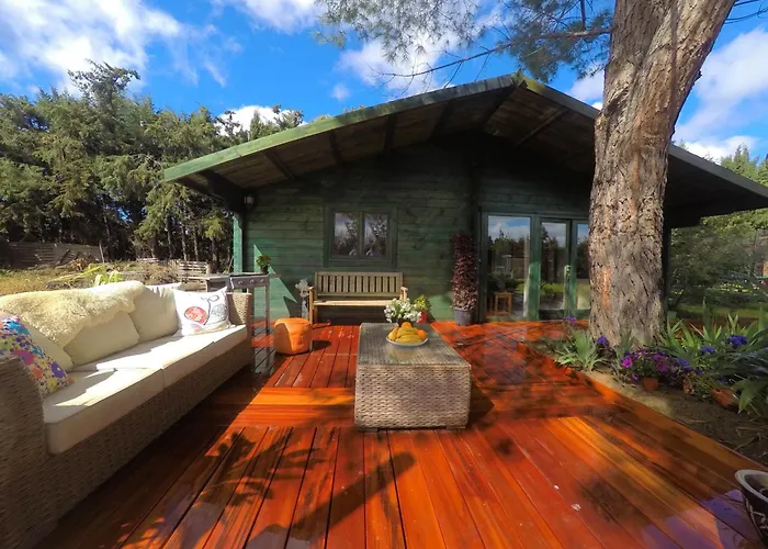 Apartment Mas Des Fleurs - Olive House