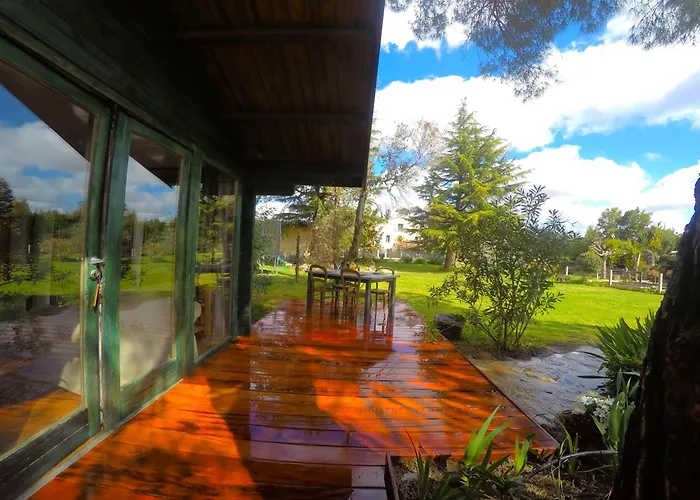 Mas Des Fleurs - Olive House *