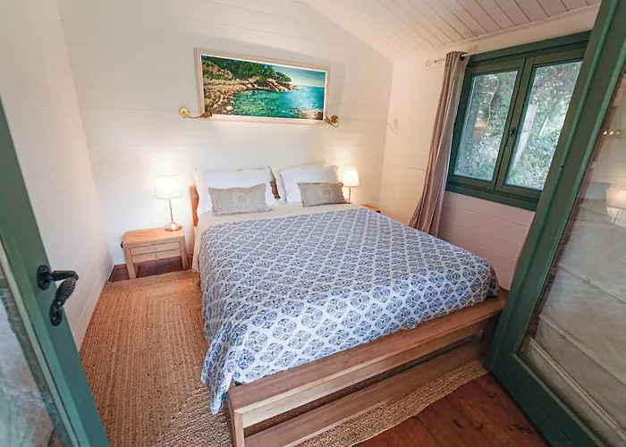 Apartment Mas Des Fleurs - Olive House