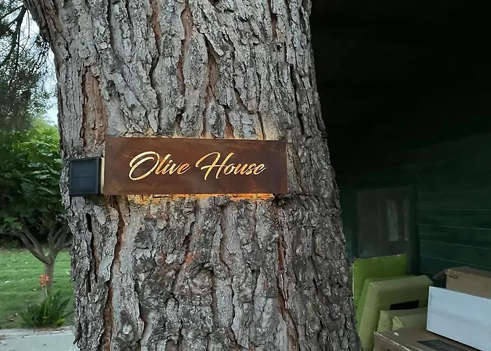 Mas Des Fleurs - Olive House Apartment *