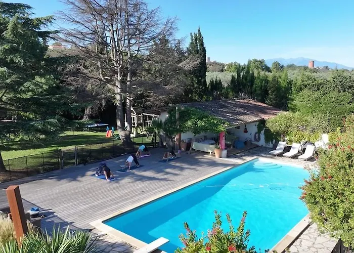 Mas Des Fleurs - Olive House