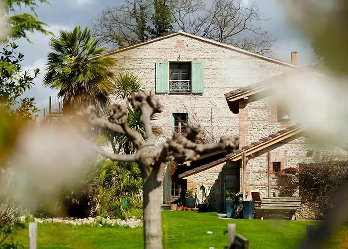 Mas Des Fleurs - Olive House * Perpignan