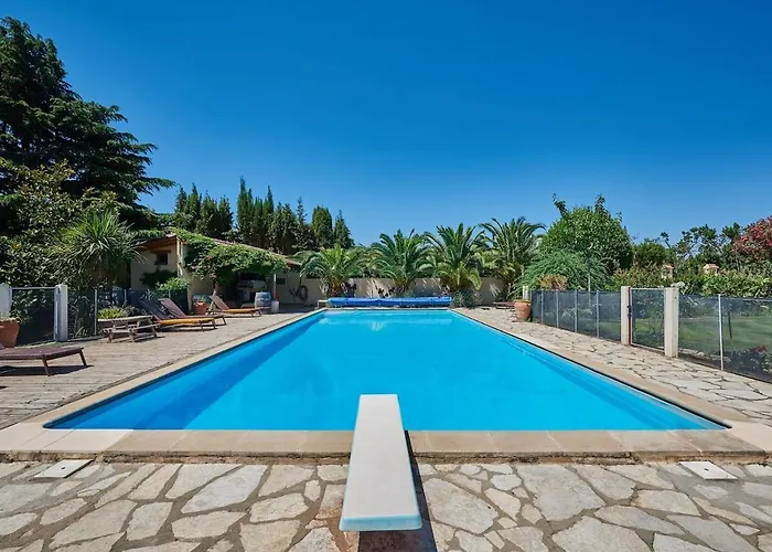 Mas Des Fleurs - Olive House