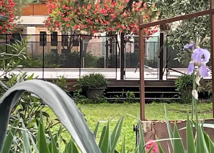 Mas Des Fleurs - Olive House