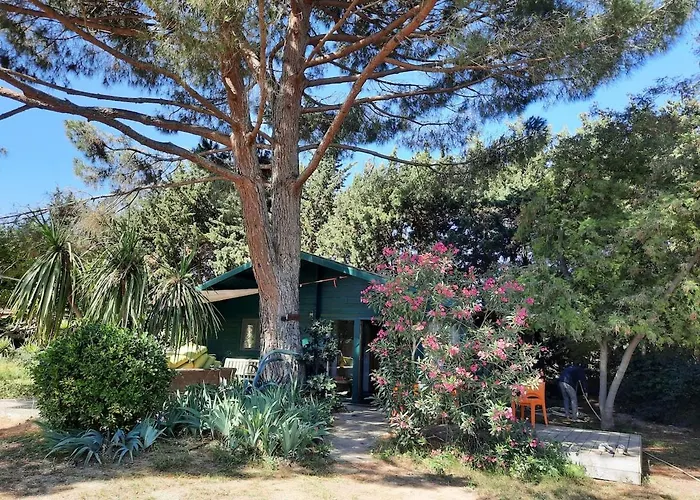 Mas Des Fleurs - Olive House شقة *